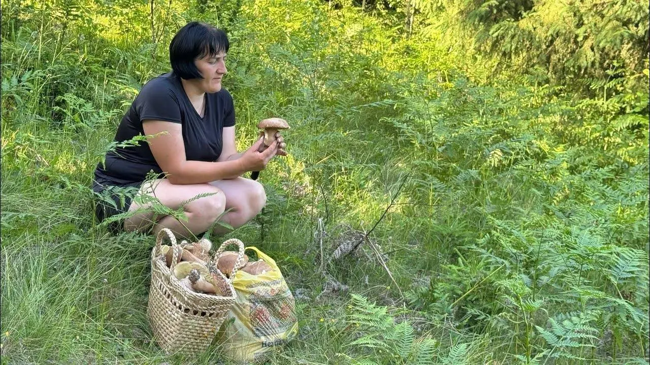 From mountain to table: 🍄‍  🍒Mushrooms and cherries in a mountain village kept for the winter