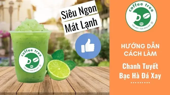 Hướng Dẫn Cách Làm Chanh Tuyết Bạc Hà Đá Xay Siêu Ngon Siêu Mát Lạnh | Coffee Tree Official