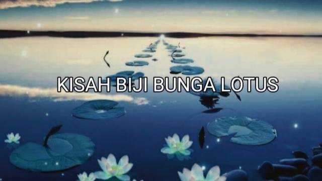 The story of lotus seeds
#Indonesiaku
#Mindfulness 
#Ganjing World 
#Gan Jing World Stories 
#Edukas