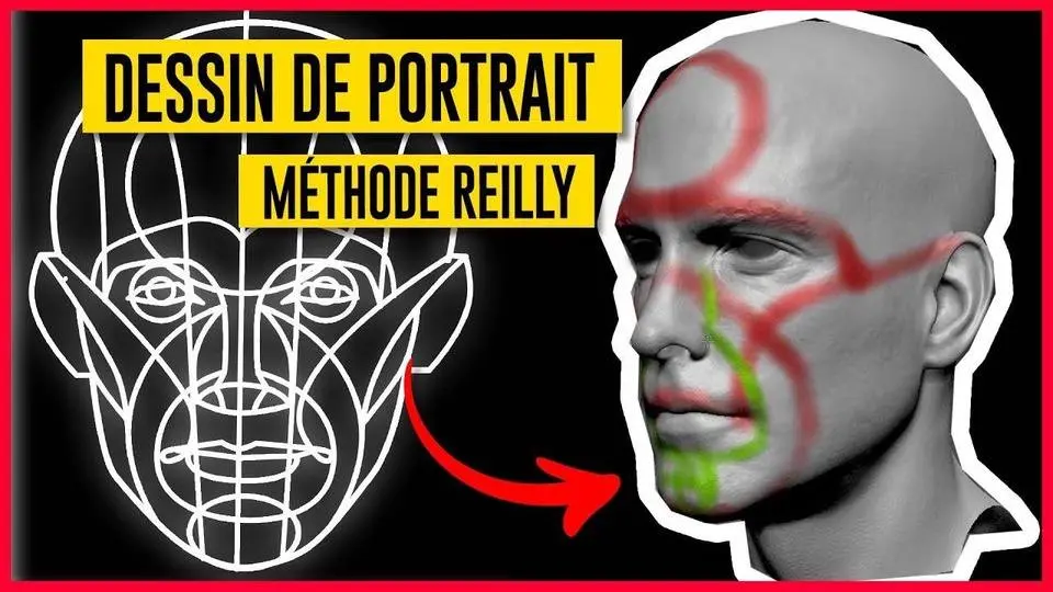 Dessin de portrait : Comprendre le rythme de Reilly