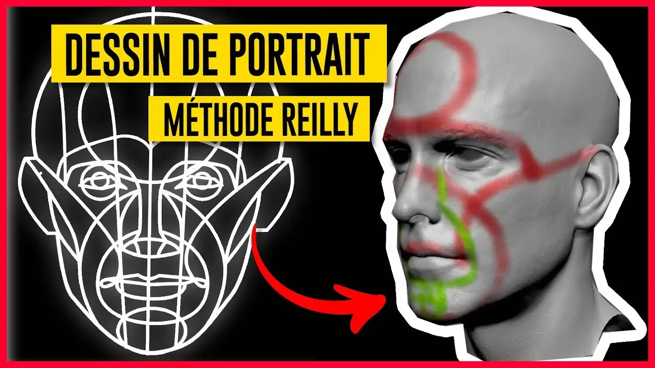 Dessin de portrait : Comprendre le rythme de Reilly