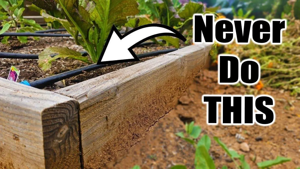 5 Beginner Raised Bed Garden WATERING MISTAKES to Avoid