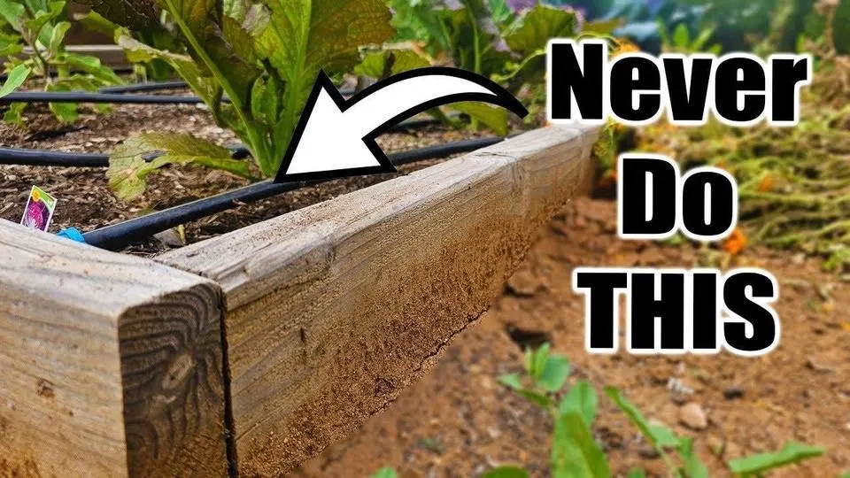 5 Beginner Raised Bed Garden WATERING MISTAKES to Avoid