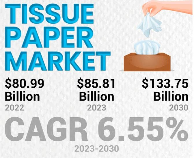 Tissue Paper Market: Development Trends & Business Opportunity Assessment