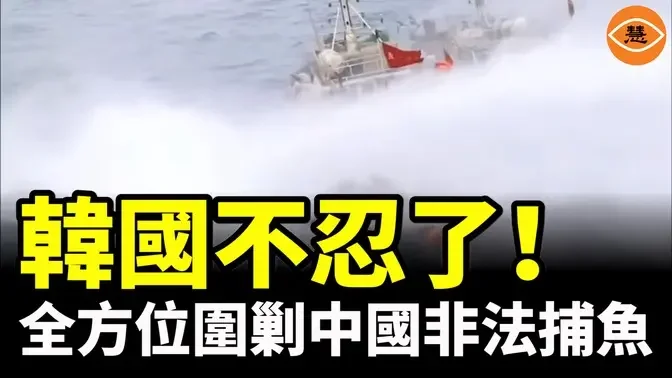 黃海漁業大戲上演 韓國海警出動高速巡邏艇和直升機 對中國非法漁船全方位圍剿