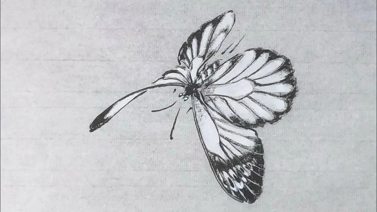 谷僧中国画写意蝴蝶，水墨彩蝶画法。