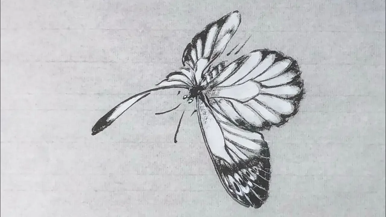 谷僧中国画写意蝴蝶，水墨彩蝶画法。