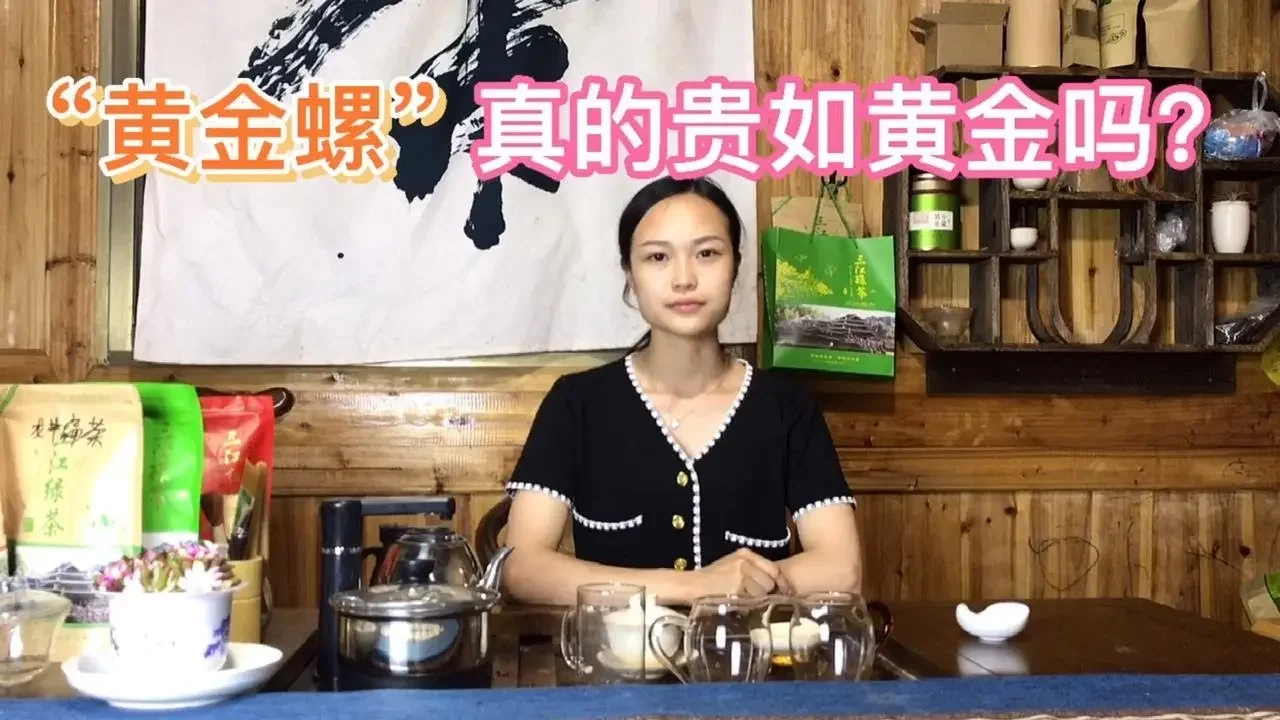 【楊一米茶】廣西高山“黃金螺”茶葉，茶名霸氣，黃金螺真的貴如黃金嗎？2