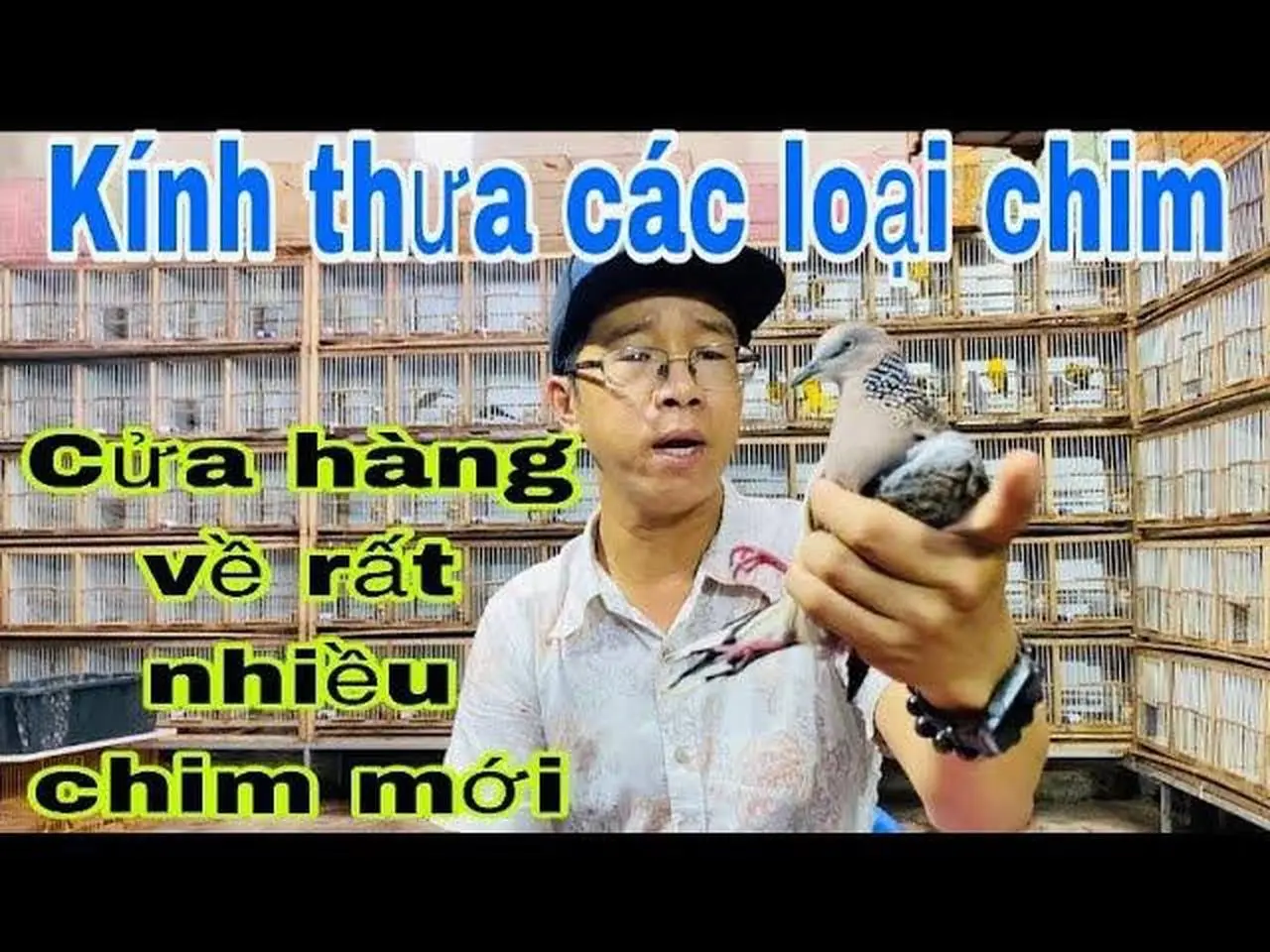 13/9/22 chim cảnh anh hảo về rất nhiều chim.kính thưa các loại .độc lạ hót hay nuôi avi