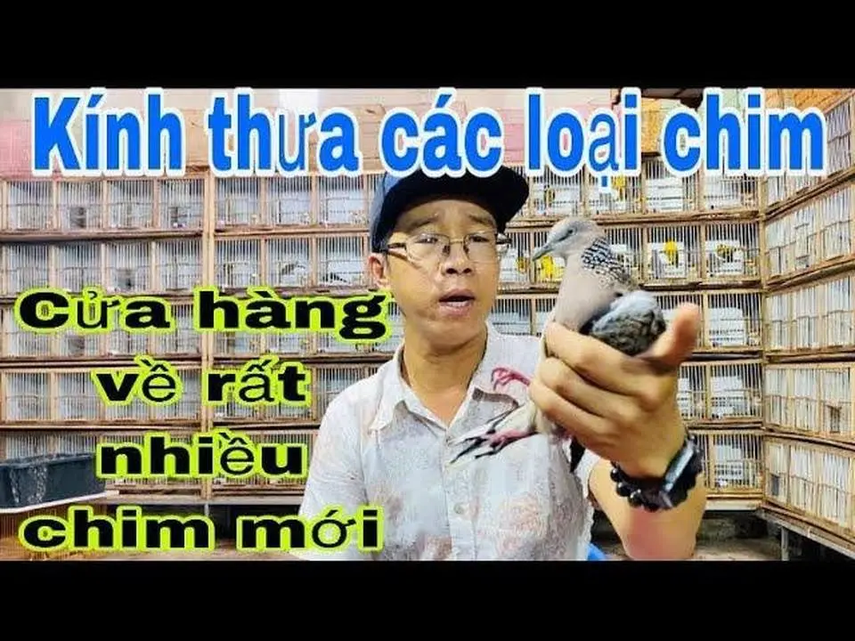 13/9/22 chim cảnh anh hảo về rất nhiều chim.kính thưa các loại .độc lạ hót hay nuôi avi