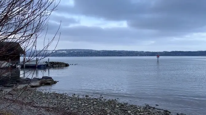 🐠 Stille am Zürichsee

#Switzerland #peace #schweiz #theodorfontane