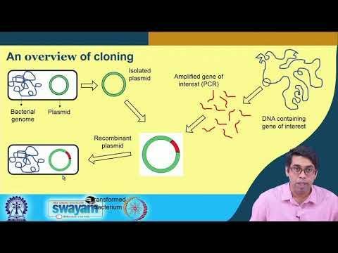 Lecture 43 : Basics of rDNA Technology Part - I