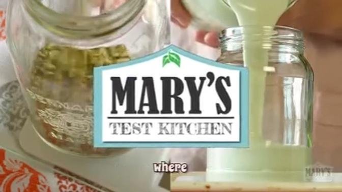 Will it Yogurt? Pumpkin Seed Yogurt | Plain vs With Oats, Chia, Flax + More | Mary's Test Kitchen