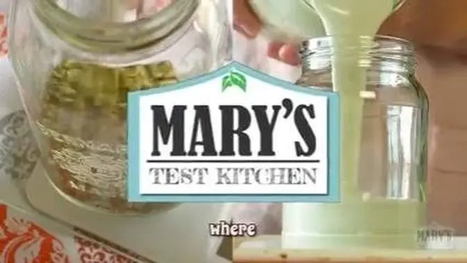 Will it Yogurt? Pumpkin Seed Yogurt | Plain vs With Oats, Chia, Flax + More | Mary's Test Kitchen