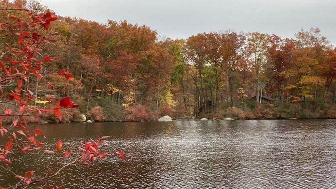 纽约上州的秋景