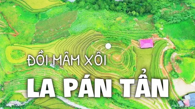 RUỘNG BẬC THANG La Pán Tẩn 🌾 Flycam4K - Nét đẹp điển hình VÙNG CAO TÂY BẮC VietNam