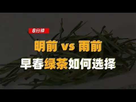 【百味茶集】明前VS雨前，早春綠茶該如何選擇？