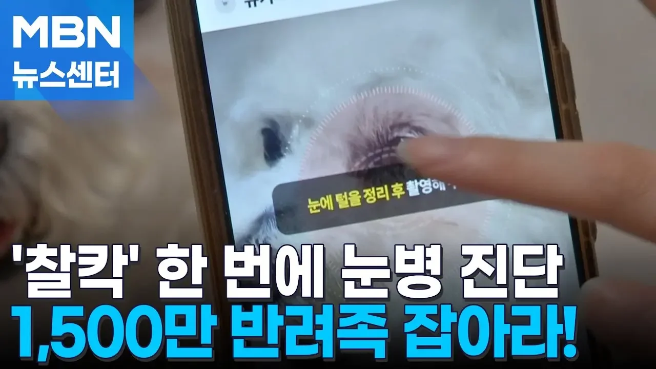 '찰칵' 한 번에 반려견 눈병 진단…AI로 엑스레이 판독까지 [MBN 뉴스센터]