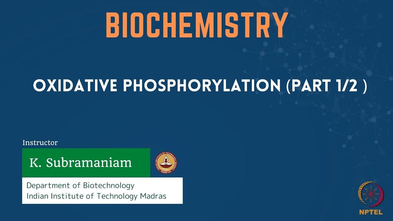 Oxidative Phosphorylation (Part 1/2)