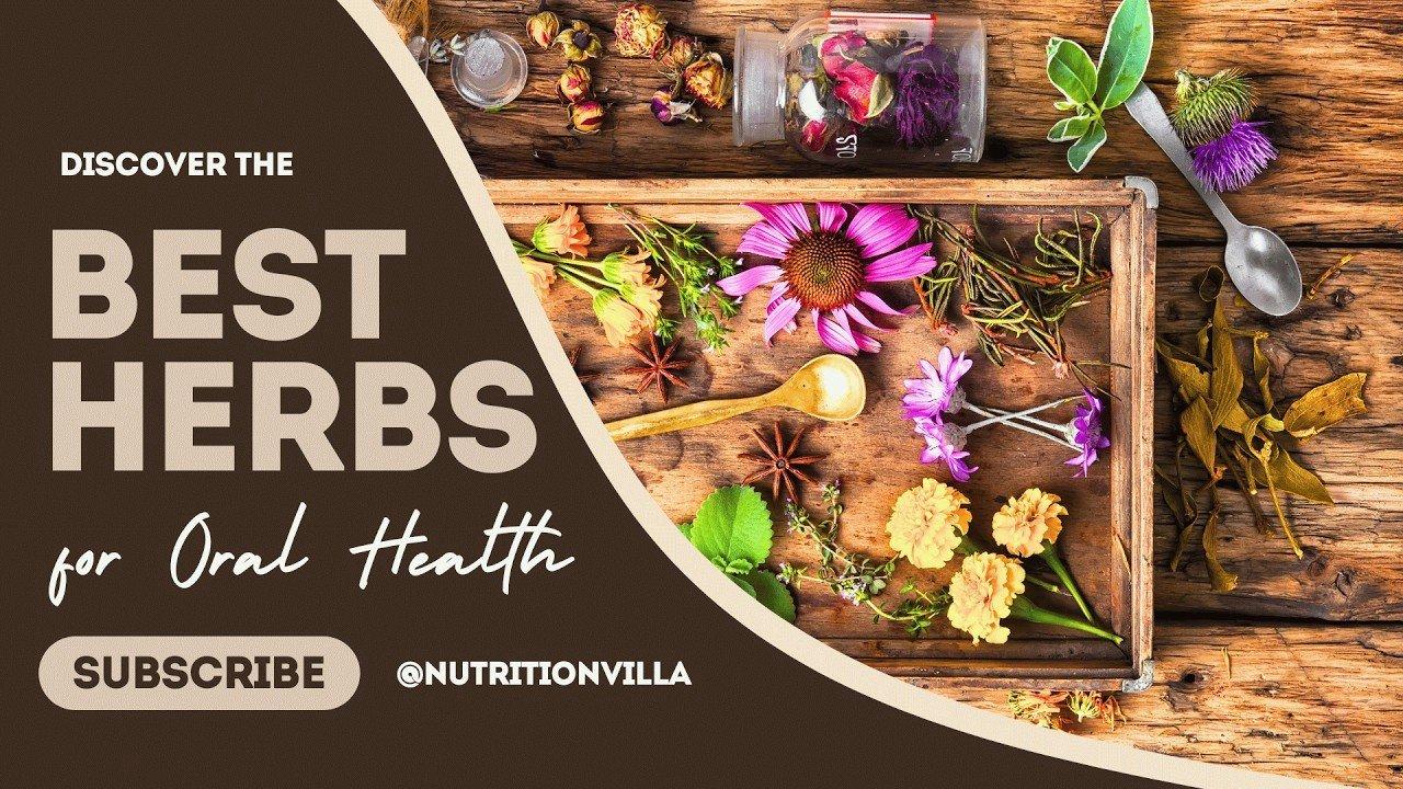 Which herbs are good for oral health?  Top 10 Herbs to improve your oral health