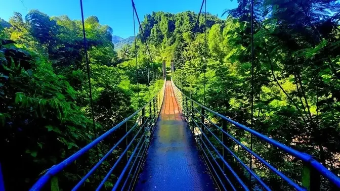 Jamaica Swinging Bridge Over The Rio Grande