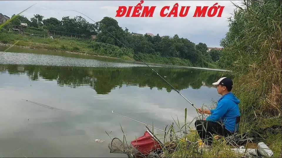 Khám phá điểm câu cá chép đồng tự nhiên miễn phí