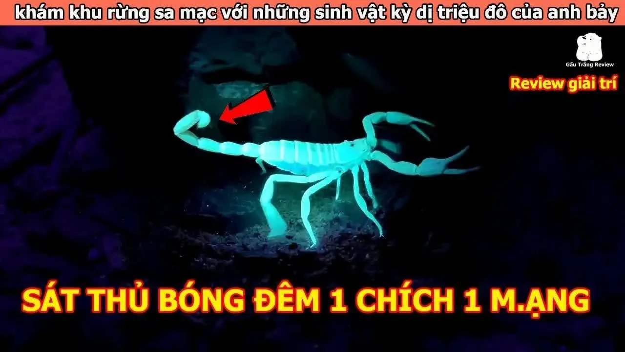 khám khu rừng sa mạc với những sinh vật kỳ dị triệu đô | Review Giải Trí Đời Sống