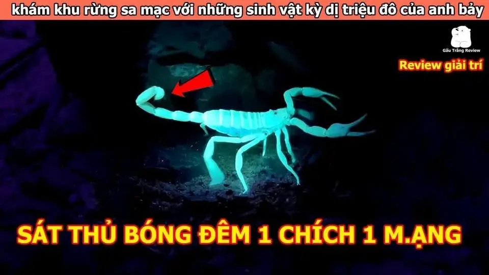 khám khu rừng sa mạc với những sinh vật kỳ dị triệu đô | Review Giải Trí Đời Sống