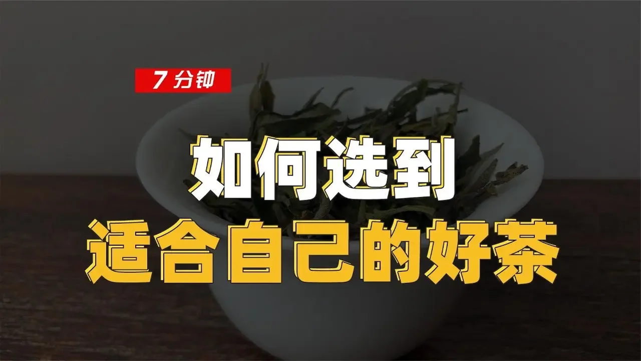 【百味茶集】「選茶方法論」之如何選到適合自己的好茶