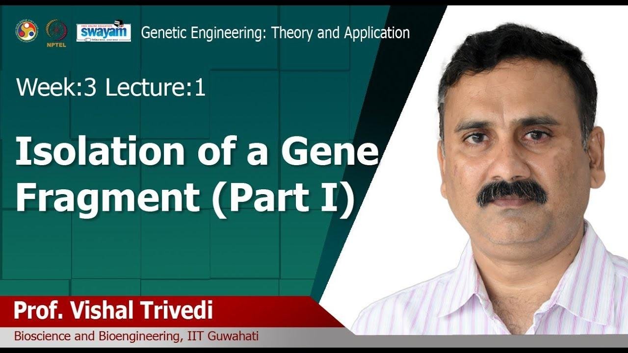 Lec 7: Isolation of a Gene Fragment (Part I)