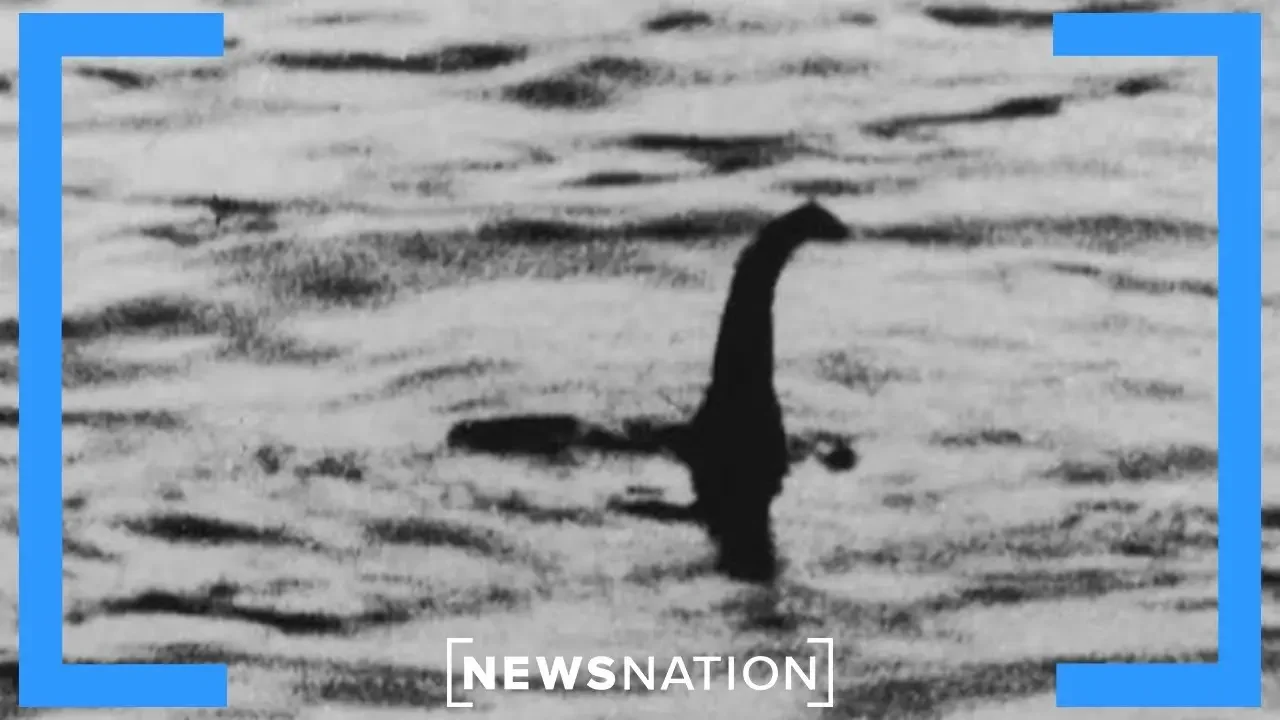 Loch Ness monster hunt leads to 'bizarre' sounds: Report | NewsNation Now