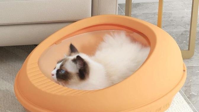 Best 7 Heated Cat Beds in 2024 — Reviews & Price