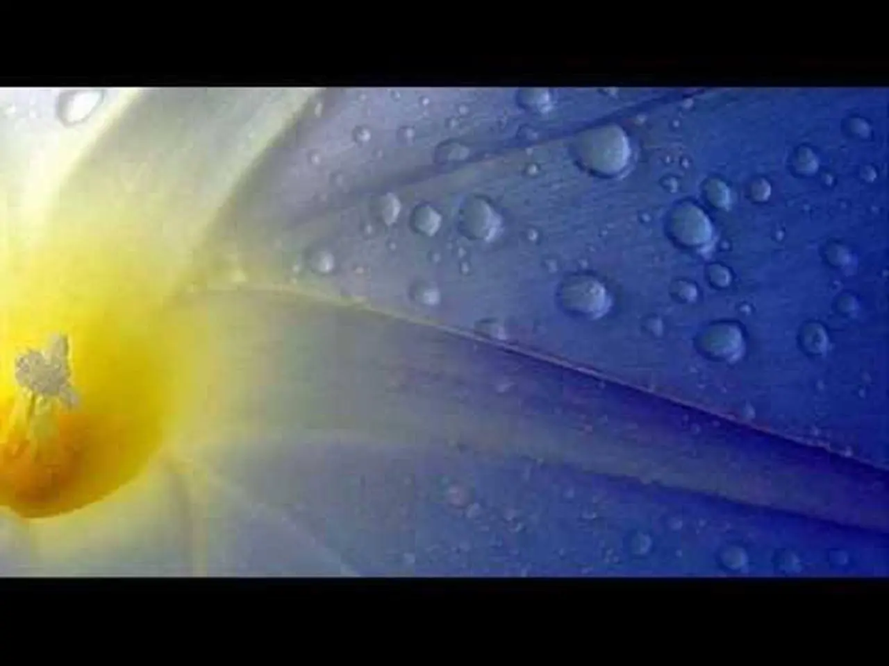 Antonio Vivaldi: Concerto for violin, strings & b.c. in F major (RV 291)