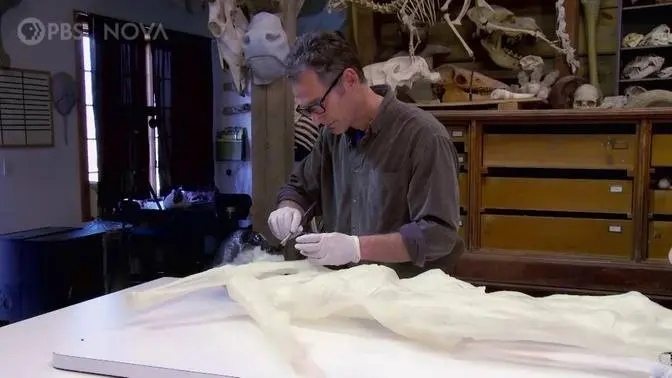 Iceman Reborn: A 5,000-Year-Old Murder Mystery | Full Documentary | NOVA | PBS