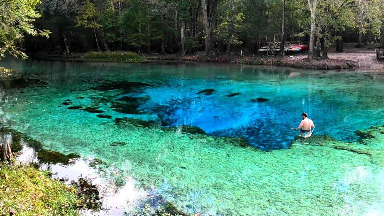 My NEW Favorite Natural Springs in Florida | Gilchrist Blue Springs