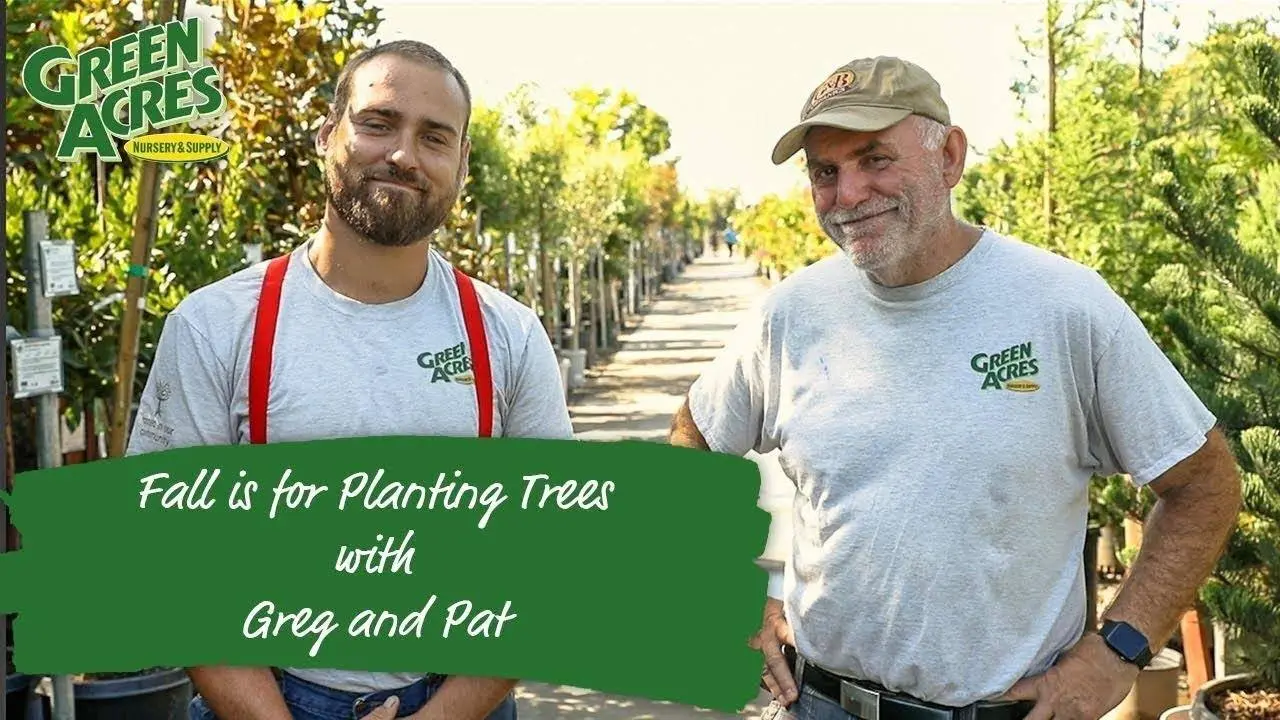 Fall is for Planting Trees!