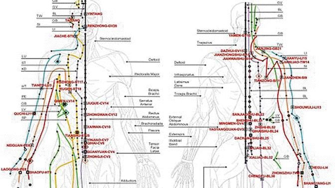 国际权威期刊：证实中医经络的存在