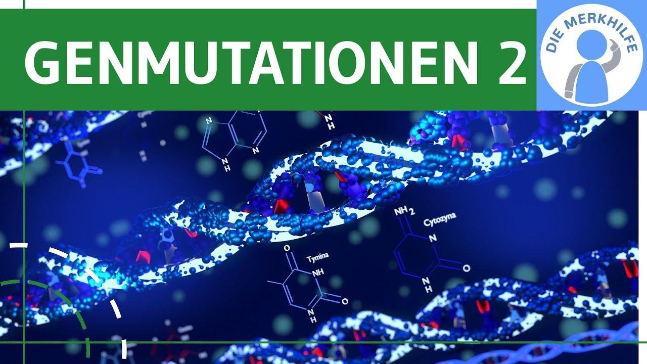 Genmutationen 2 - Punktmutation, Deletionsmutation & Insertionsmutation einfach erklärt - Genetik