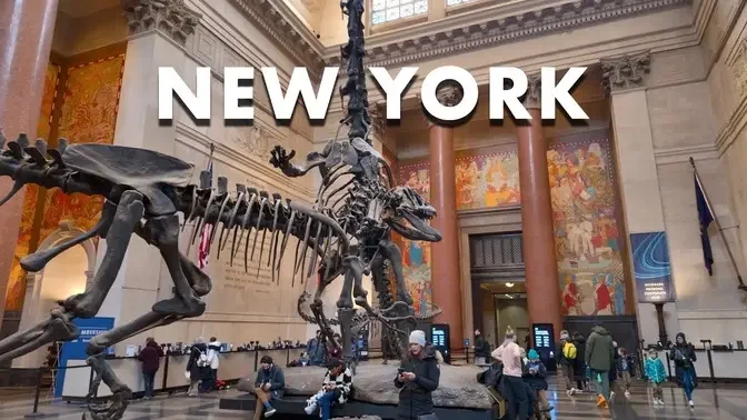 Visiting the American Museum of Natural History in New York City