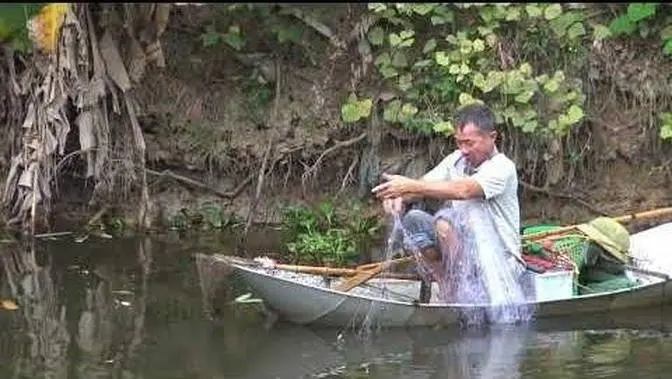 Gặp Cao Thủ Đánh Bắt Cá - Thu Hoạch Gần Tạ Cá Mỗi Ngày]