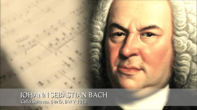 Bach | Cello Suite no. 6 in D, BWV 1012