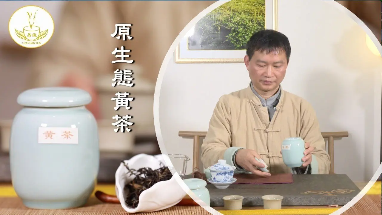 【茶缘茶道】黄茶为何很难制作？