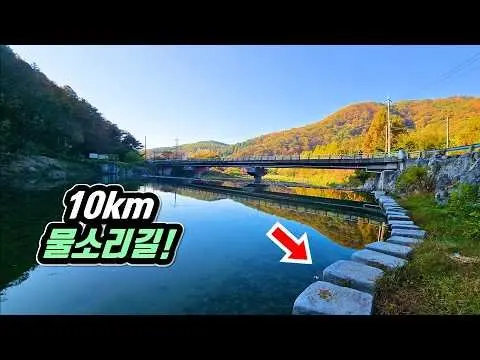 🚅 가을의 전설을 만나는 '10km' 물소리 트레킹 코스!  지금이 절정입니다 | 📸 대중교통 당일치기 여행 | 🇰🇷 Thousand-Year Ginkgo Tree in KOREA