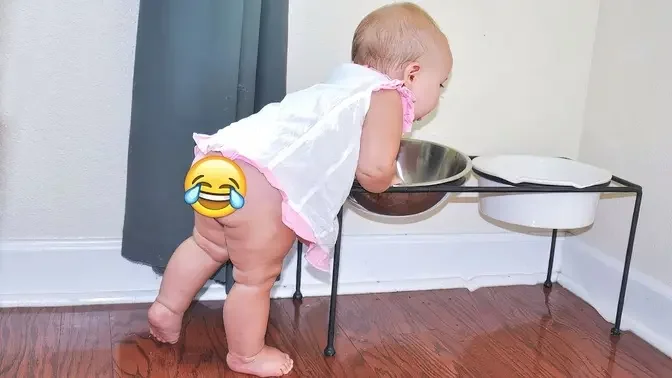 Laugh Out Loud Baby Antics You Can't Miss - Ultimate Funny Moments!