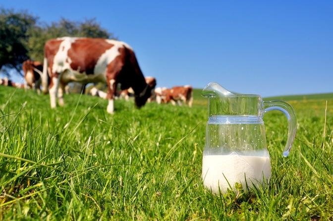 UK: Researchers Question Whether Milk Has Racist Connotations in ...