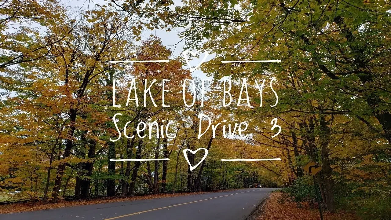 Lake of Bays Scenic Drive in Baysville, ON Canada 3 #가을나들이