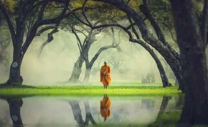 Sự tĩnh tại trong tâm hồn là trân bảo mỹ diệu của trí tuệ