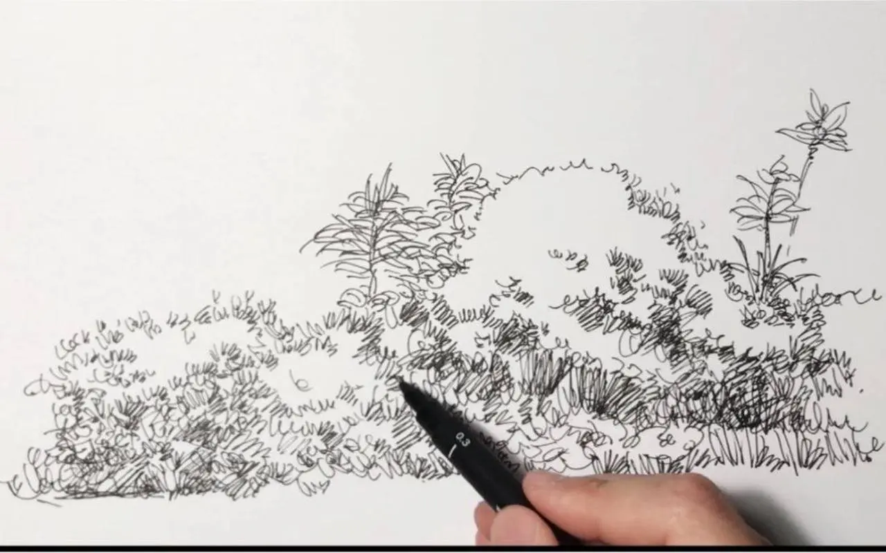 【钢笔画】乱线不等于乱画，如何做到乱中有序？掌握绘画规律后画啥都易如反掌