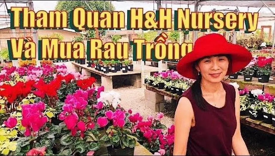 Tham Quan Vườn Hoa Và Rau Của Mỹ