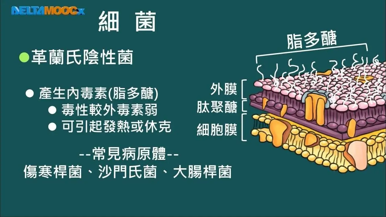 高中選修生物III_動物的構造與功能_防禦與免疫_Part 1 病原體_王涵青